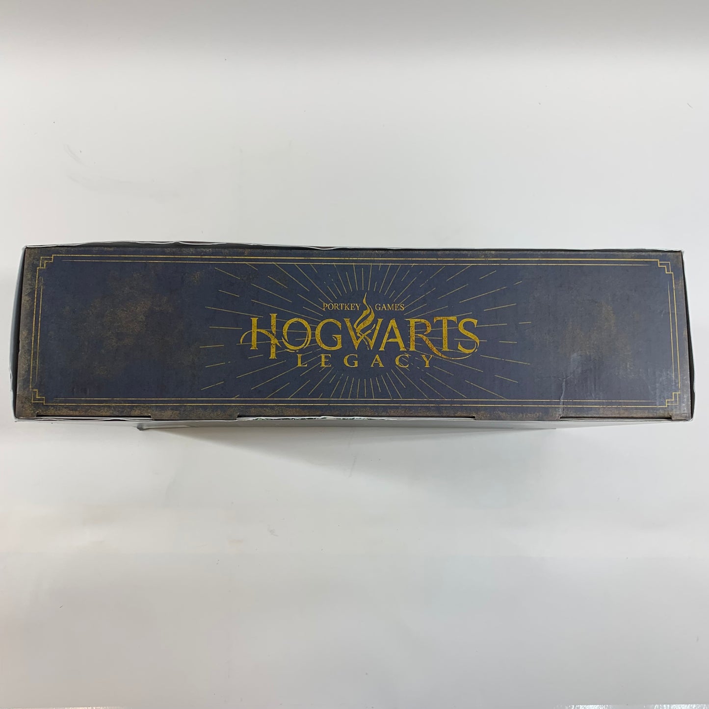 Hogwarts Legacy Collector's Edition Xbox Series X 2023 883929795499
