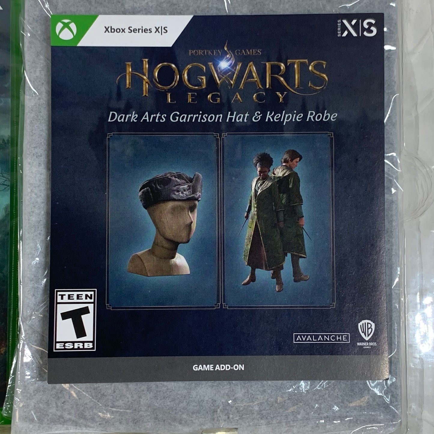 Hogwarts Legacy Collector's Edition Xbox Series X 2023 883929795499