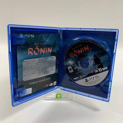 Rise Of The Ronin (Sony PlayStation 5 PS5, 2024)