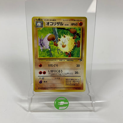 Tropical Island Jungle Promo Vileplume, Lickitung, and Primeape Pokémon TCG